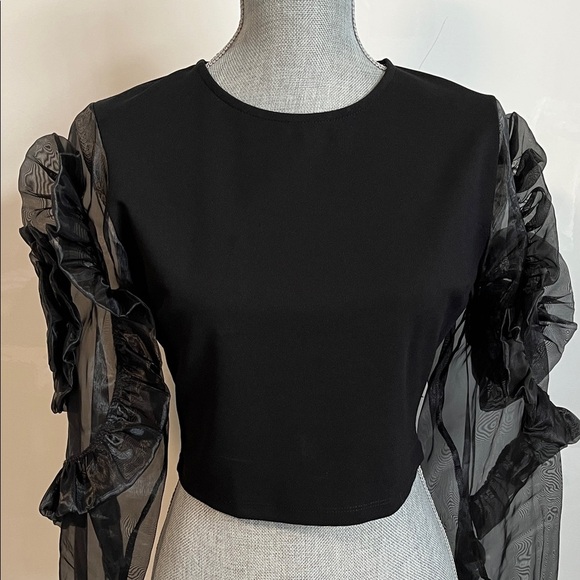 NWOT Elegant Black Fitted Stretch Sheer Rosette Sleeve Top, Size 40/8/M - Picture 4 of 12